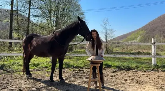 Cal lângă Xenia