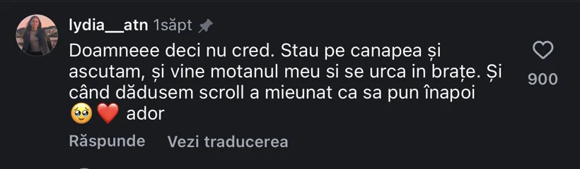 Comentariu: vine motanul meu și se urcă în brațe